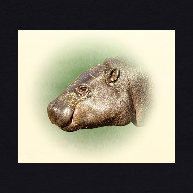 Pygmy hippopotamus by Guardi